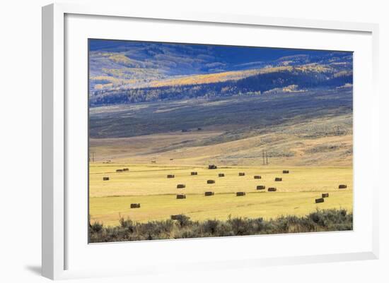 Hay Fields Outside of Steamboat Springs, Colorado-Maresa Pryor-Framed Photographic Print