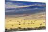 Hay Fields Outside of Steamboat Springs, Colorado-Maresa Pryor-Mounted Photographic Print