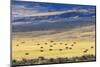 Hay Fields Outside of Steamboat Springs, Colorado-Maresa Pryor-Mounted Photographic Print