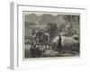 Hay Harvest in Norway-null-Framed Giclee Print