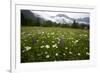 Hay Meadow In Slovenia-Bob Gibbons-Framed Photographic Print