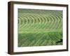Hay Patterns near Bozeman, Montana, USA-Chuck Haney-Framed Premium Photographic Print