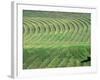 Hay Patterns near Bozeman, Montana, USA-Chuck Haney-Framed Photographic Print