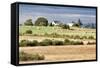 Hay Rolls I-Dana Styber-Framed Stretched Canvas