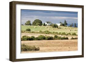 Hay Rolls I-Dana Styber-Framed Photographic Print