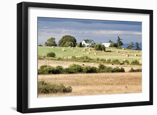 Hay Rolls I-Dana Styber-Framed Photographic Print