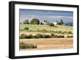 Hay Rolls I-Dana Styber-Framed Photographic Print