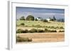 Hay Rolls I-Dana Styber-Framed Photographic Print