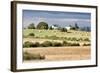 Hay Rolls I-Dana Styber-Framed Photographic Print