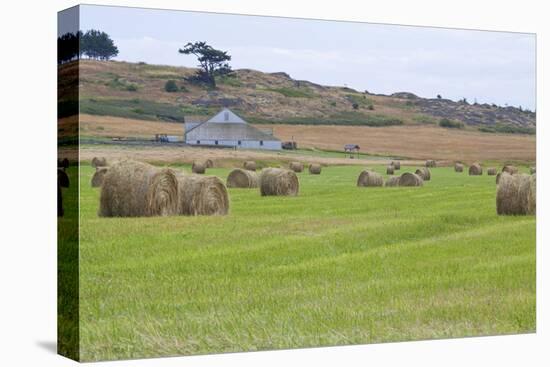 Hay Rolls II-Dana Styber-Stretched Canvas