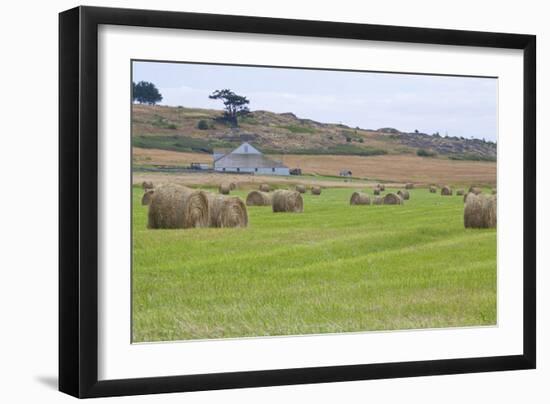 Hay Rolls II-Dana Styber-Framed Photographic Print