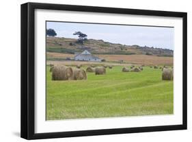 Hay Rolls II-Dana Styber-Framed Photographic Print