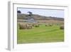 Hay Rolls II-Dana Styber-Framed Photographic Print