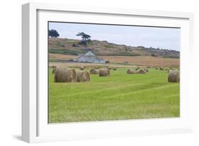 Hay Rolls II-Dana Styber-Framed Photographic Print