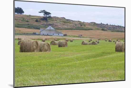 Hay Rolls II-Dana Styber-Mounted Photographic Print