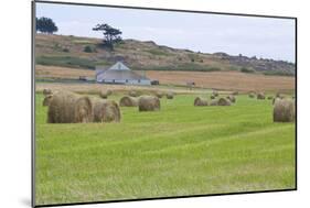 Hay Rolls II-Dana Styber-Mounted Photographic Print