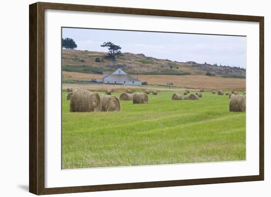 Hay Rolls II-Dana Styber-Framed Photographic Print