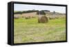 Hay Rolls III-Dana Styber-Framed Stretched Canvas