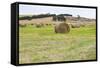 Hay Rolls III-Dana Styber-Framed Stretched Canvas