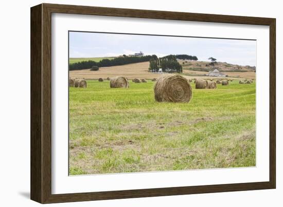 Hay Rolls III-Dana Styber-Framed Photographic Print