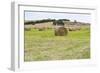 Hay Rolls III-Dana Styber-Framed Photographic Print