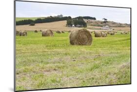 Hay Rolls III-Dana Styber-Mounted Photographic Print