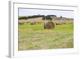 Hay Rolls III-Dana Styber-Framed Photographic Print