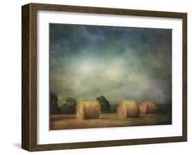 Hay Rolls-Dawne Polis-Framed Art Print