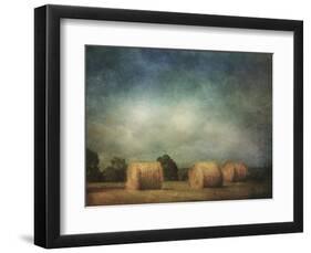 Hay Rolls-Dawne Polis-Framed Art Print