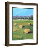 HAY ROLLS-ALLAYN STEVENS-Framed Art Print