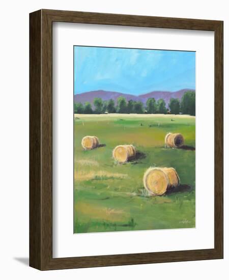 HAY ROLLS-ALLAYN STEVENS-Framed Art Print