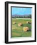 HAY ROLLS-ALLAYN STEVENS-Framed Art Print