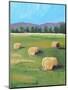 HAY ROLLS-ALLAYN STEVENS-Mounted Art Print