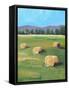 HAY ROLLS-ALLAYN STEVENS-Framed Stretched Canvas