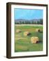 HAY ROLLS-ALLAYN STEVENS-Framed Art Print