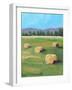 HAY ROLLS-ALLAYN STEVENS-Framed Art Print