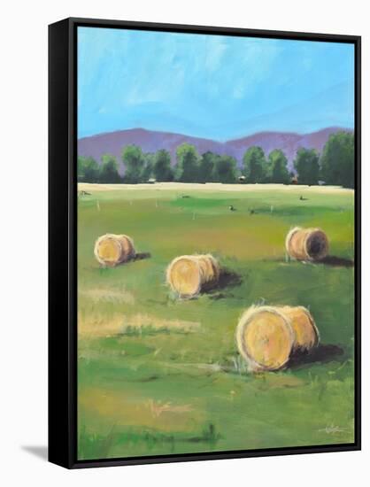 HAY ROLLS-ALLAYN STEVENS-Framed Stretched Canvas