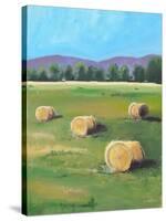 HAY ROLLS-ALLAYN STEVENS-Stretched Canvas