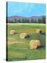 HAY ROLLS-ALLAYN STEVENS-Stretched Canvas