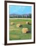 HAY ROLLS-ALLAYN STEVENS-Framed Art Print