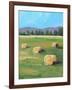 HAY ROLLS-ALLAYN STEVENS-Framed Art Print