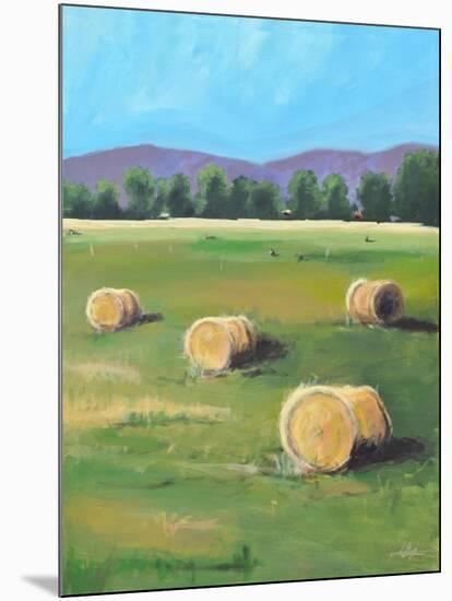 HAY ROLLS-ALLAYN STEVENS-Mounted Art Print