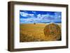 Hay & Sky-Jason Savage-Framed Art Print