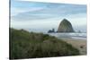 Hay Stack Rock on the sandy beach at Cannon Beach, Oregon-Greg Probst-Stretched Canvas