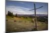 Hay stooks in foothills of Carpathian Mountains on outskirts of Bukowina Tatrzanska village, Southe-Jeremy Bright-Mounted Photographic Print