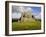 Hay Tor Rocks, Dartmoor, Devon, England, United Kingdom-David Hughes-Framed Photographic Print