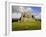 Hay Tor Rocks, Dartmoor, Devon, England, United Kingdom-David Hughes-Framed Photographic Print