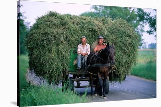 Hay transport, Great Hungarian Plain, Hungary-null-Stretched Canvas