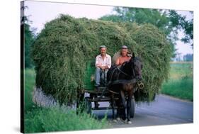 Hay transport, Great Hungarian Plain, Hungary-null-Stretched Canvas