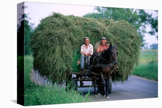 Hay transport, Great Hungarian Plain, Hungary-null-Stretched Canvas